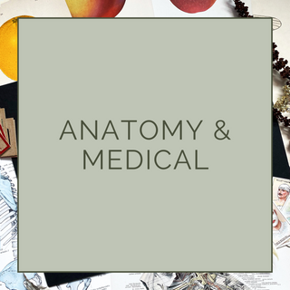 ANATOMY & MEDICAL