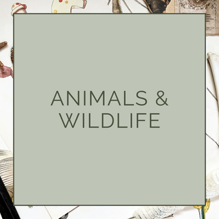 ANIMALS & WILDLIFE